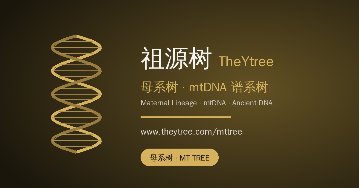 M65c C8559T - mtDNA haplogroup intro - TheYtree